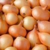 Fresh Onions - Image 2