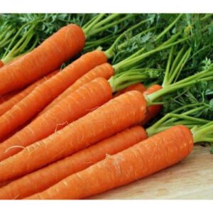 Fresh Carrots