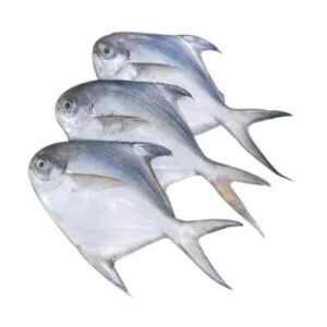 Pomfret Fish